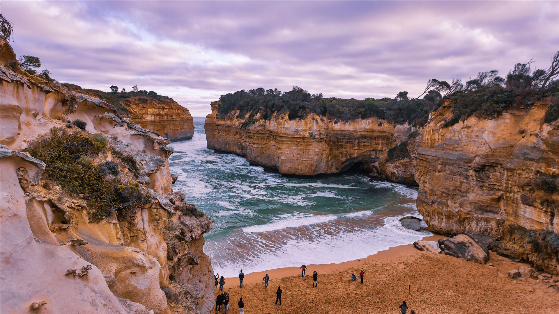 [Copy]Purpose drives the process by which we become what we are capable of being.