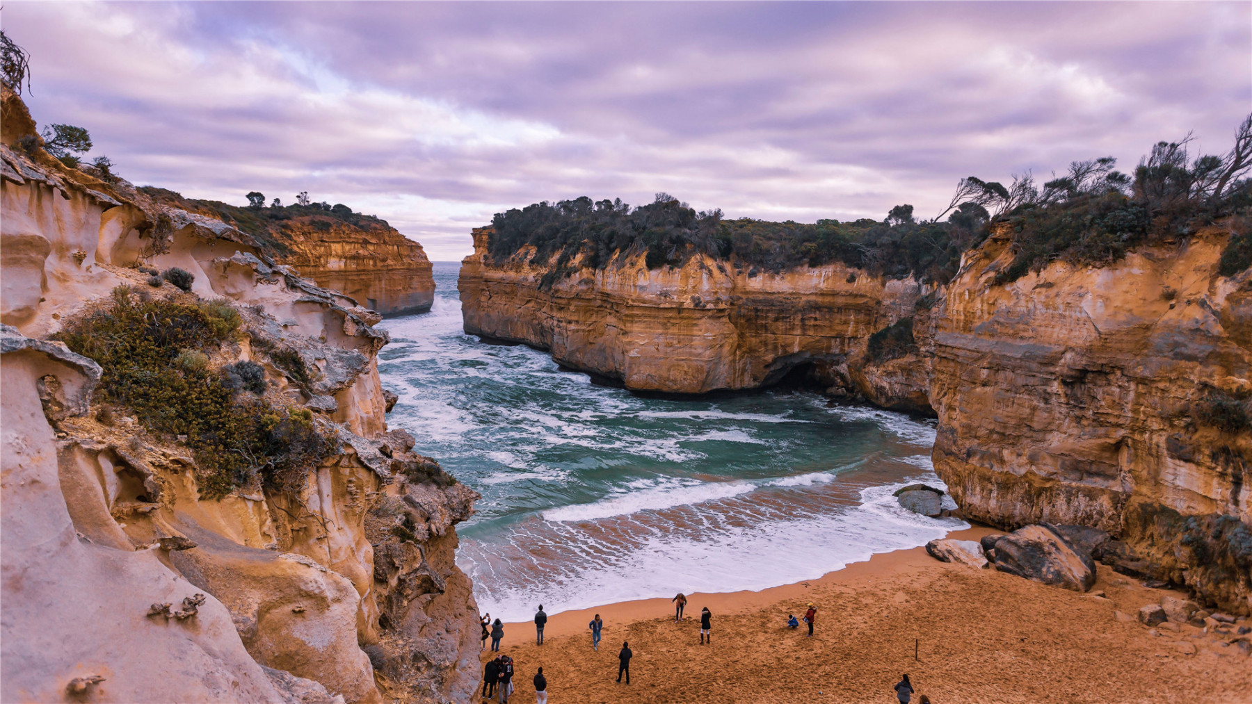 [Copy]Purpose drives the process by which we become what we are capable of being.